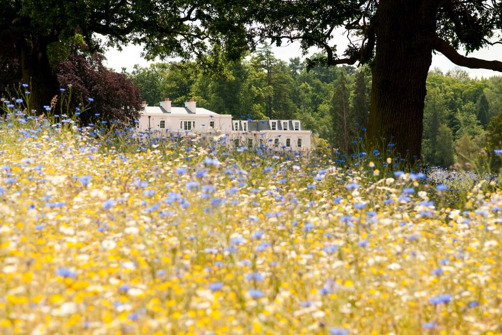 flower meadows at coworth park dorchester collection
