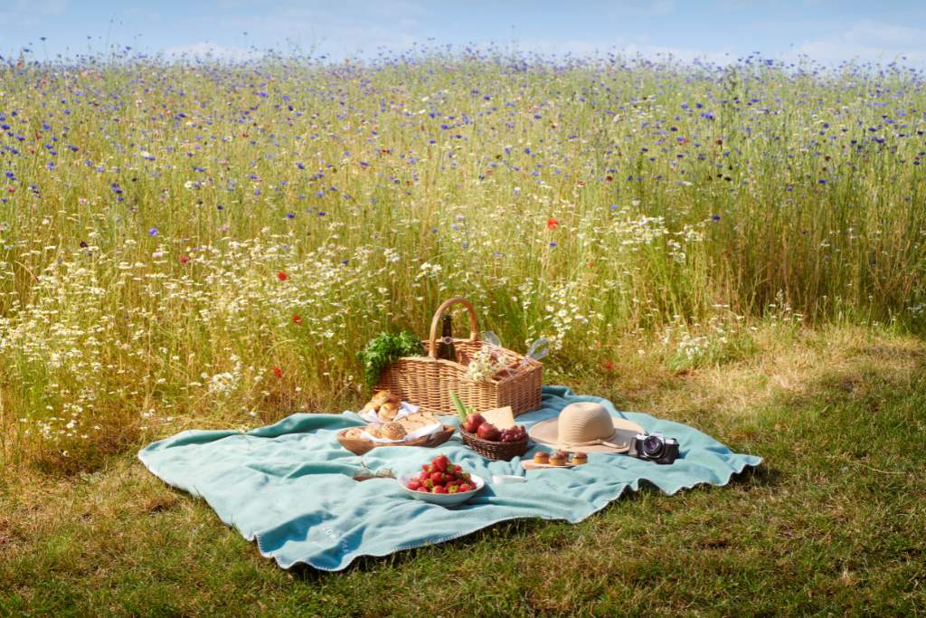 picnic at coworth park, dorhester collection