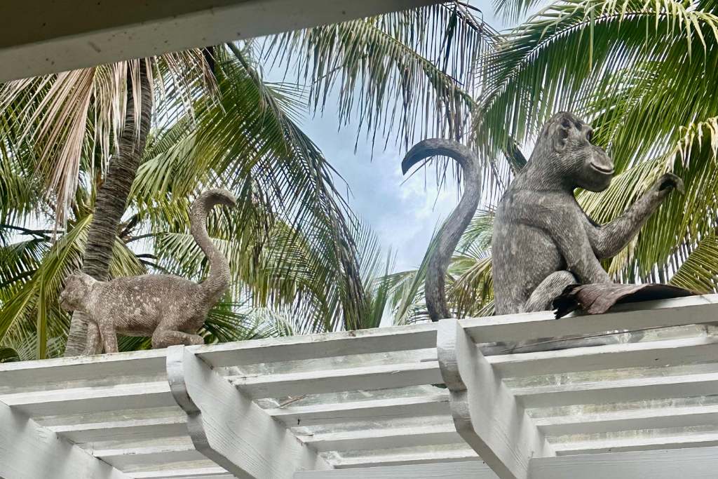 the monkey bar, kamalame cay, bahamas