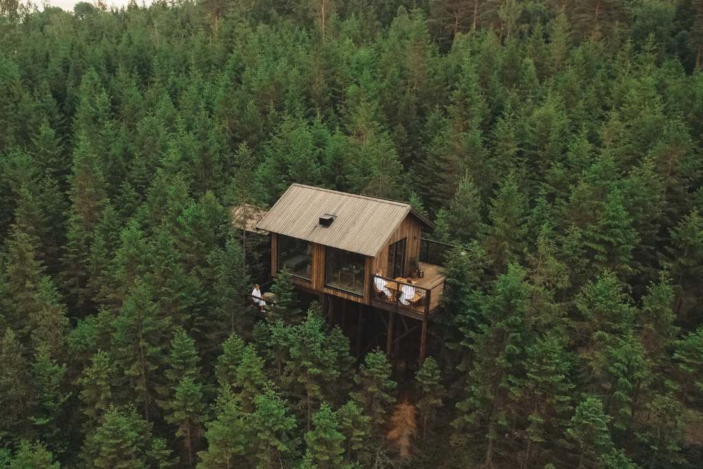 cabin high above the trees at hyena forest resort