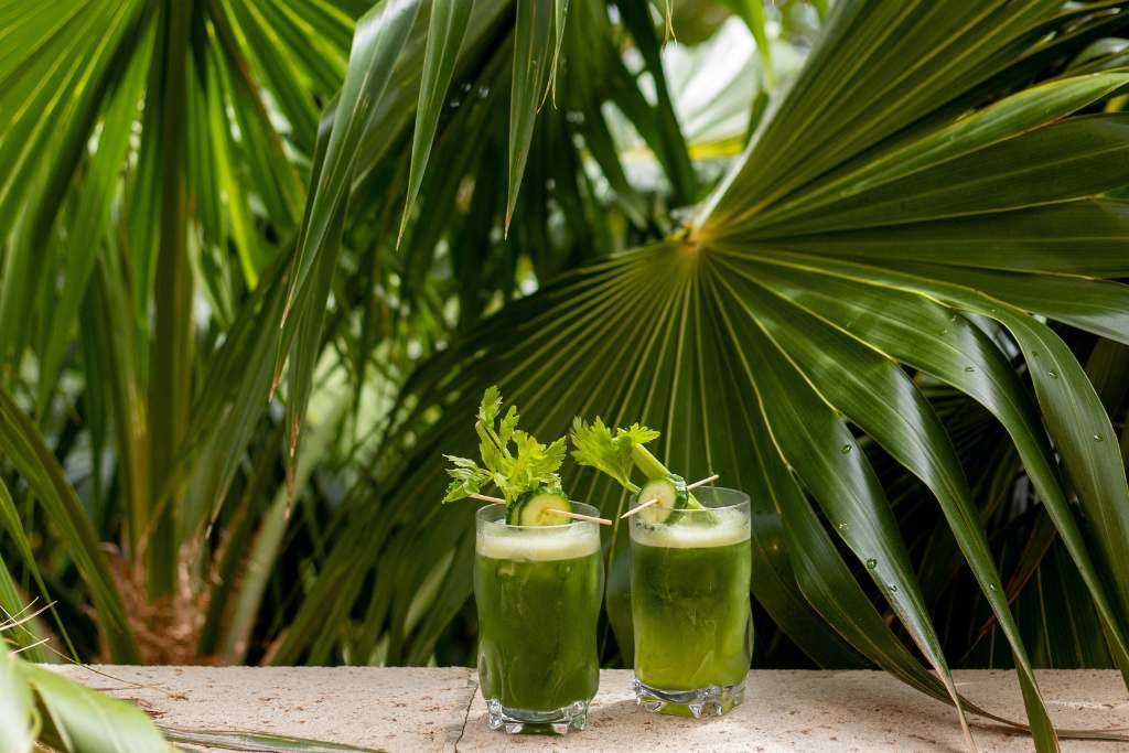green drinks on green palms at acqualina resort & residences Florida