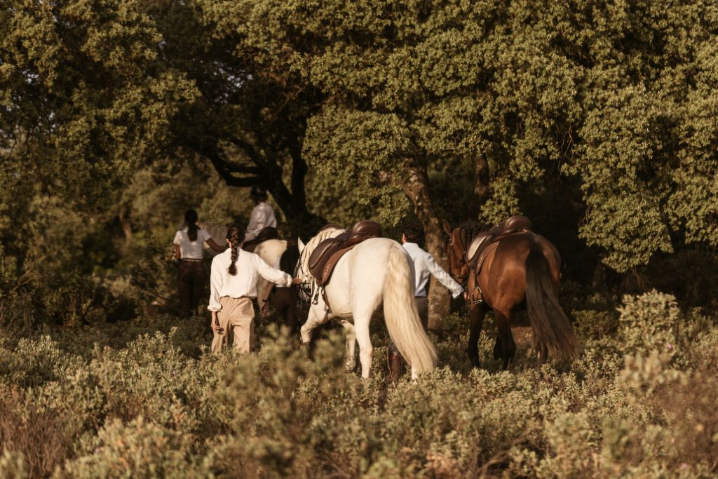 horse-back riding through the forest