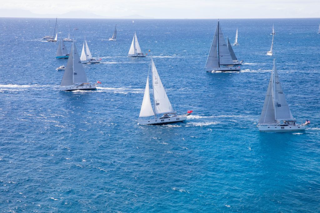 antigua racing sailboats in the ocean