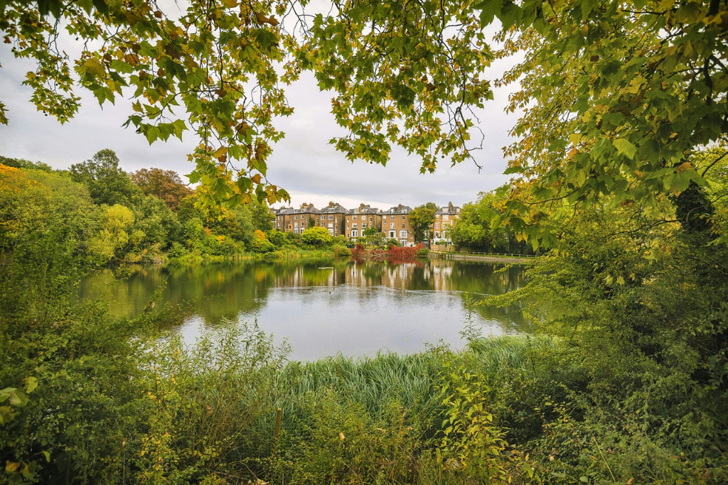 hampstead park london