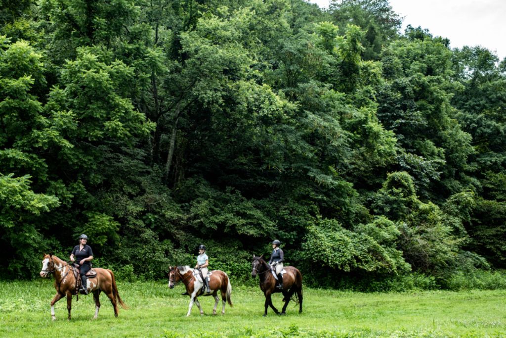 horseback riding 