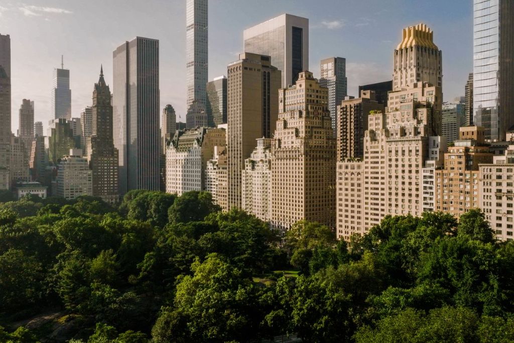 central park building view
