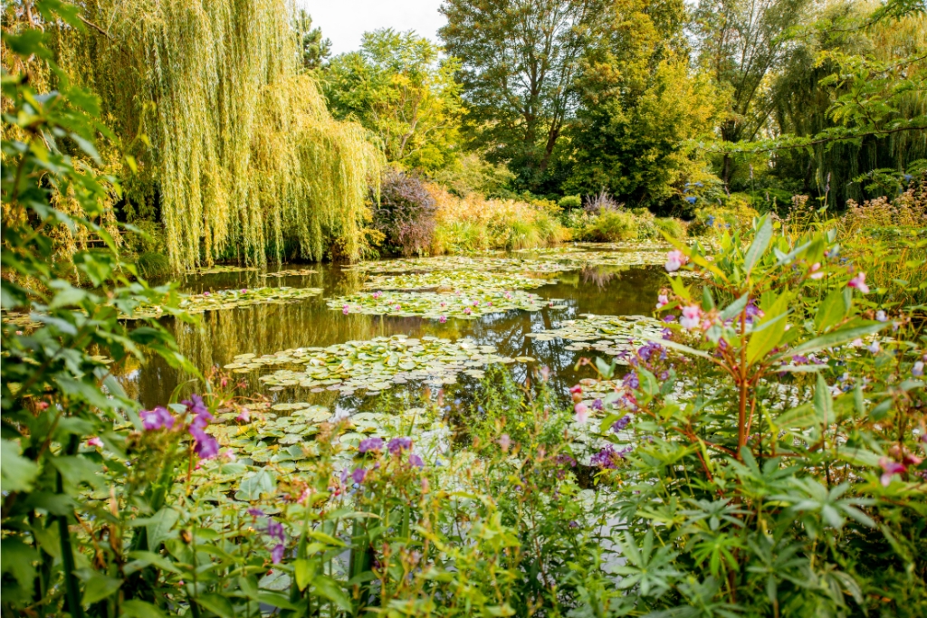 claude monet garden 