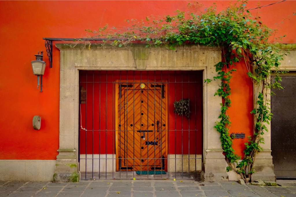 orange wall with wooden door and ivy 